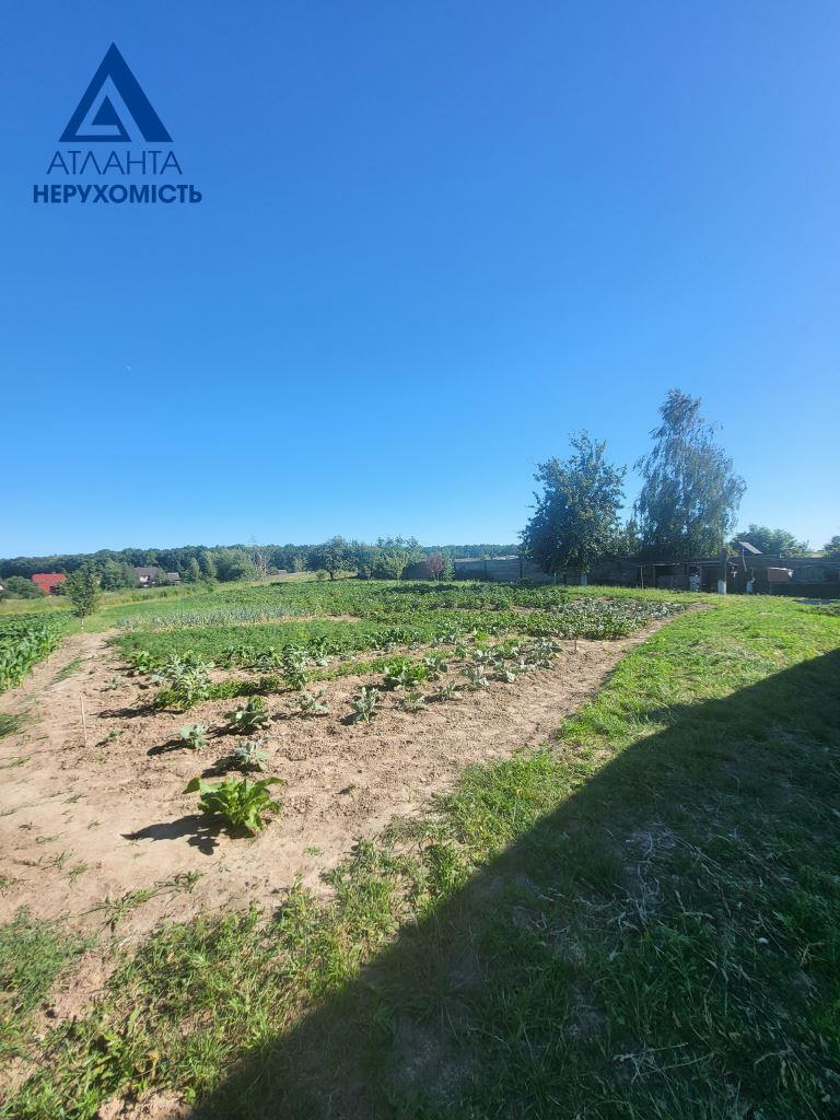 Будинок струмівка фото (5)