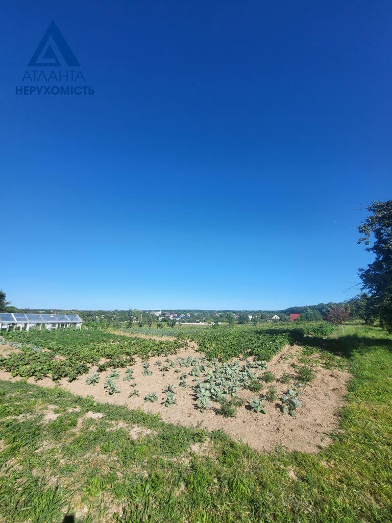Будинок струмівка фото (6)